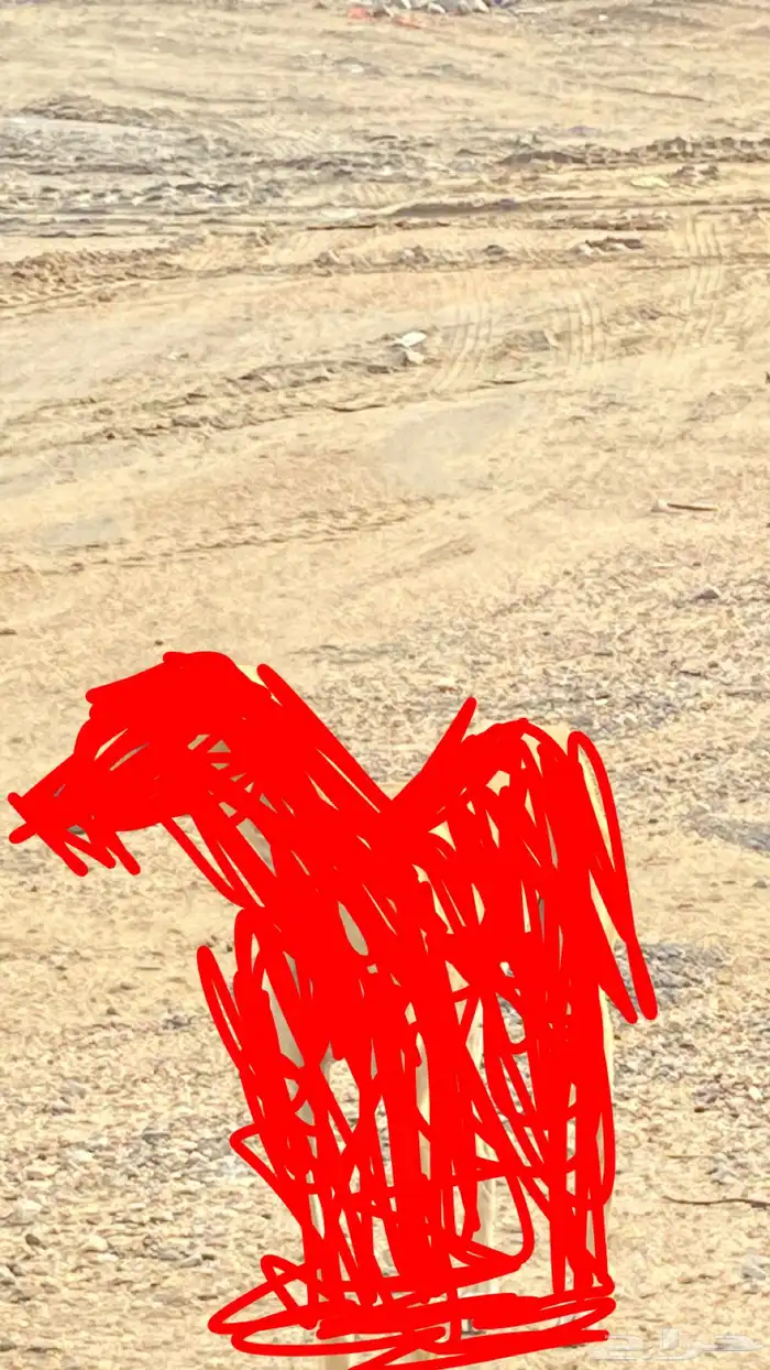 سلوقي 0