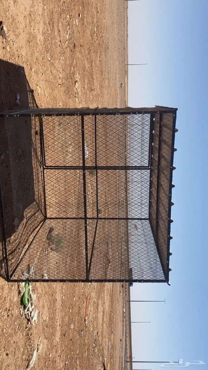 شبك عصافير 1