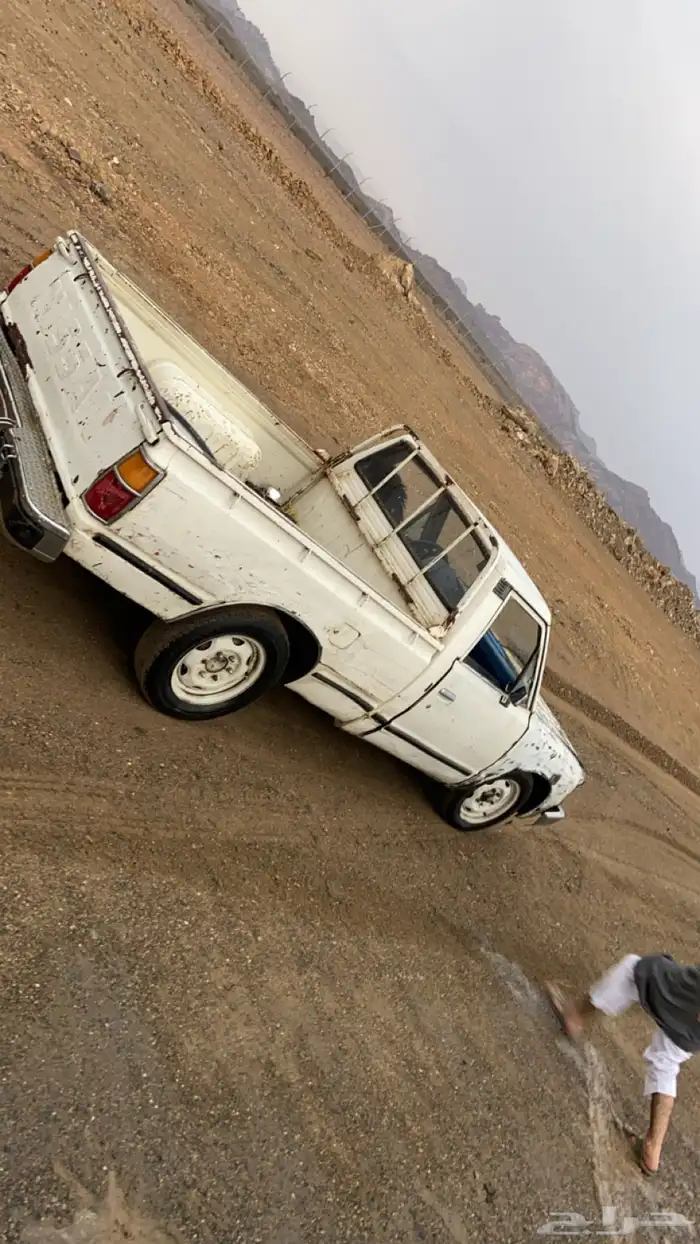 ددسن مسقط 1