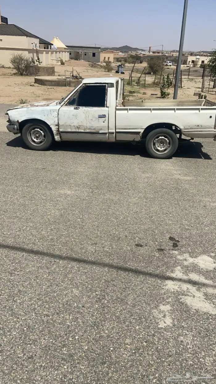 ددسن مسقط 0