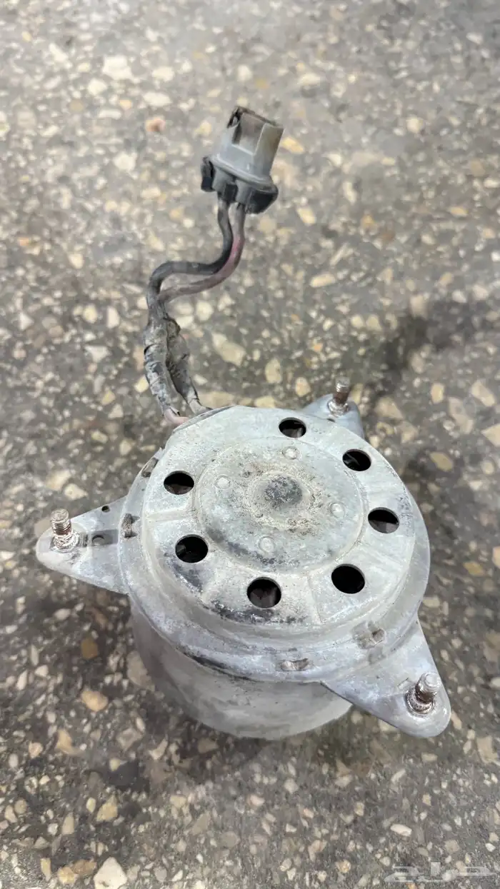 دينمو مروحة ماركيز 2006 1