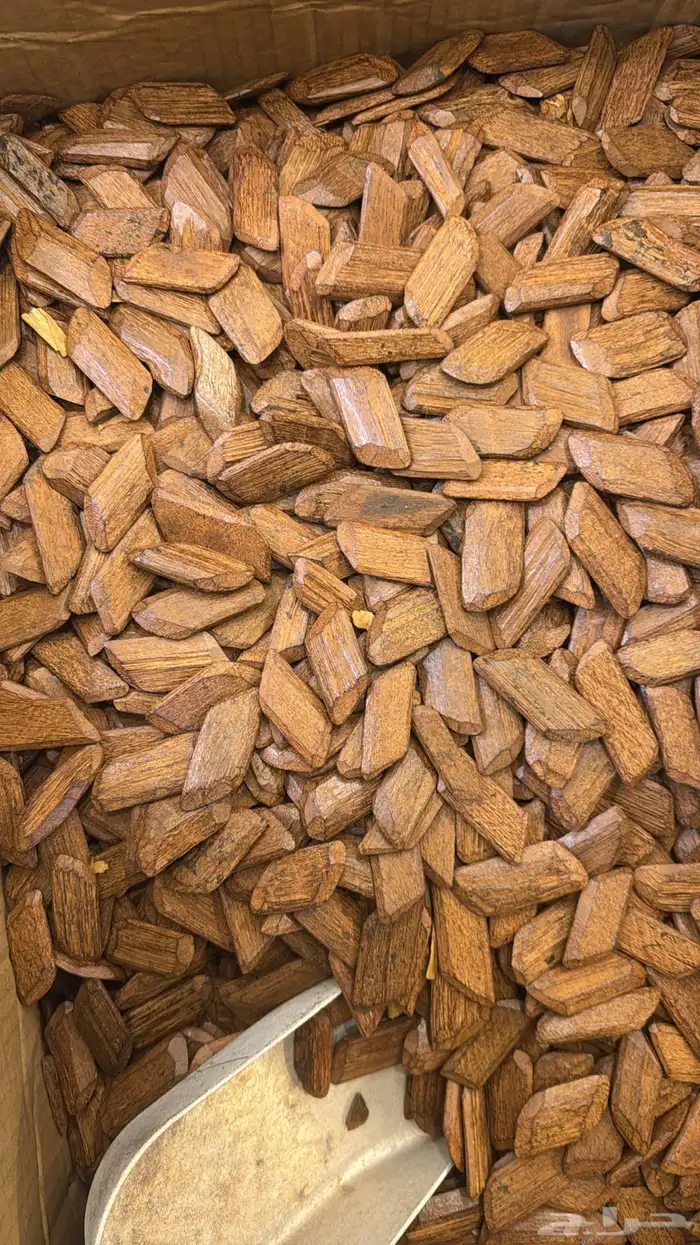 جميع العطور باشكالها وانواعها نوفرهاء بسعر الجمله 57