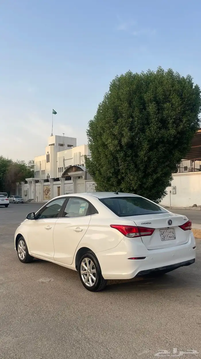 شانجان السفن 2022 5
