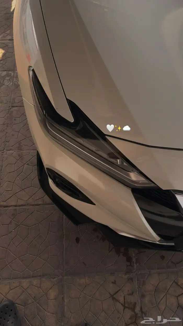 مكسيما sv مخزن نظيف 31
