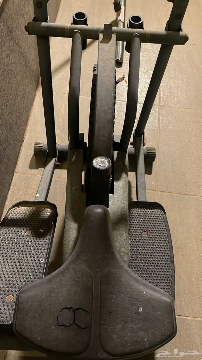 غزال طاير 2