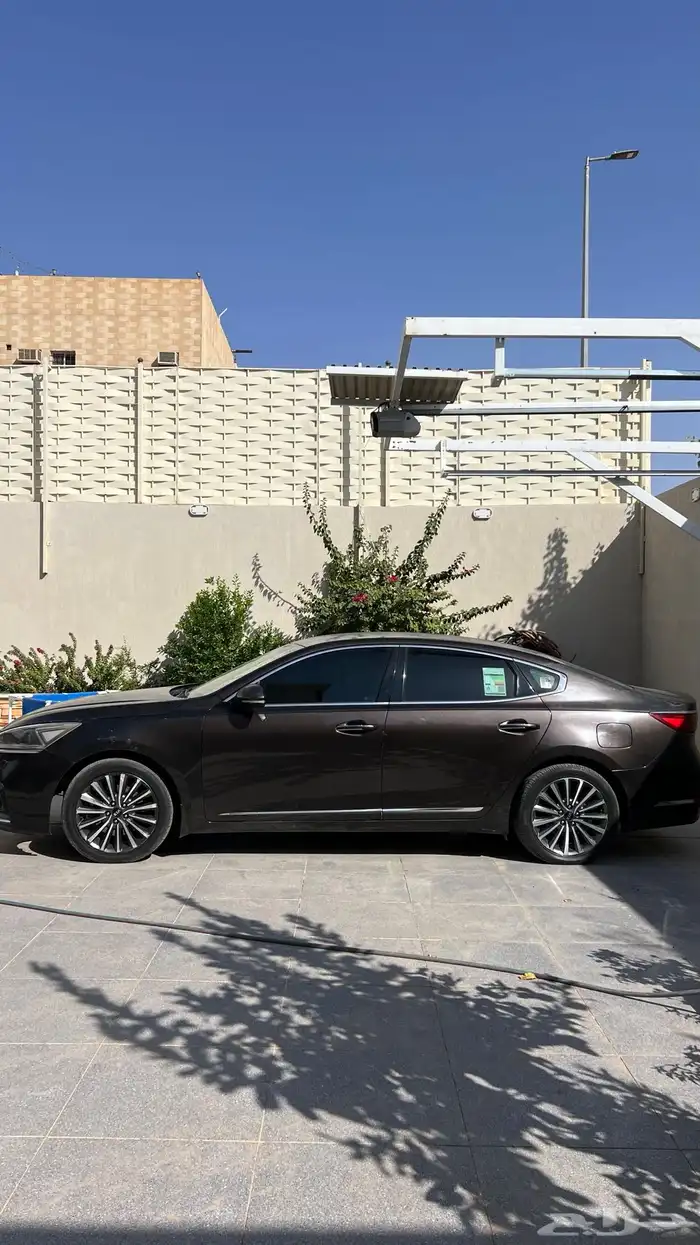 كادينزا 2018 2
