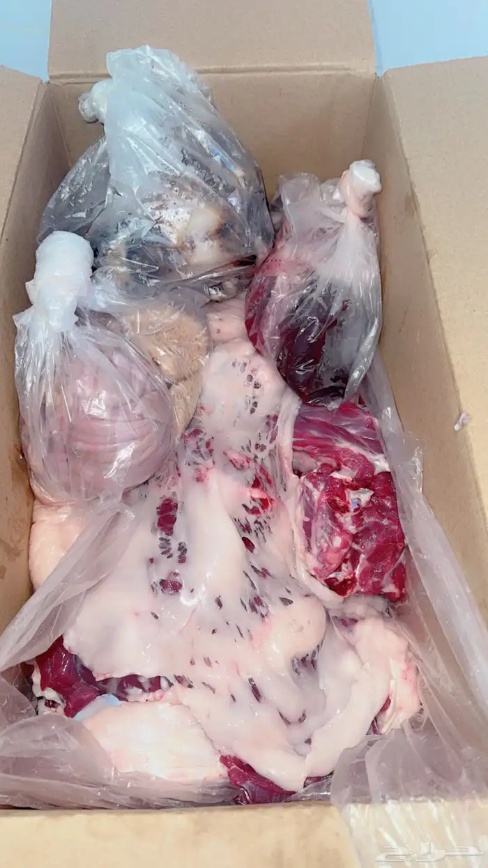 يوجد خرفان ورخال حريه بلدي علي الشرط مع السلخ والتوصيل 5