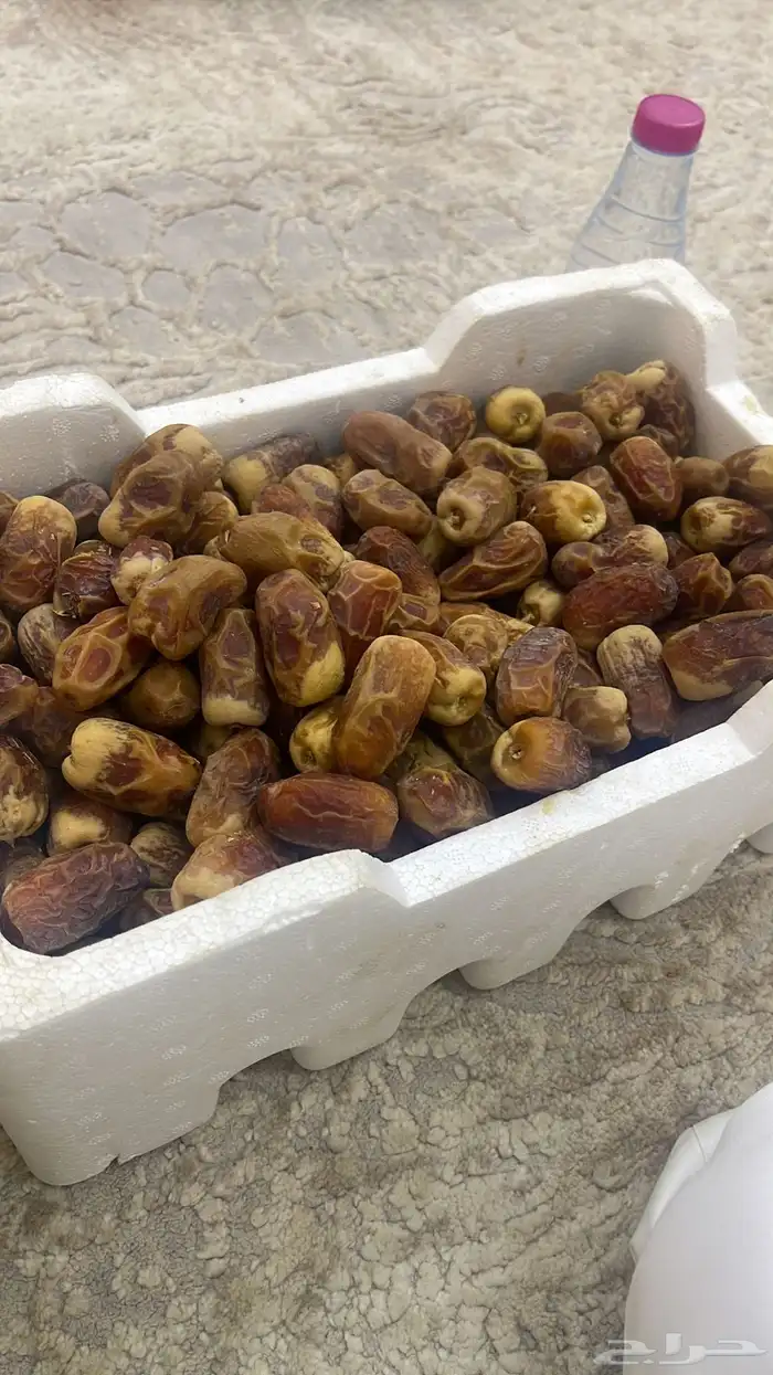 رطب السنه الحاليه 2