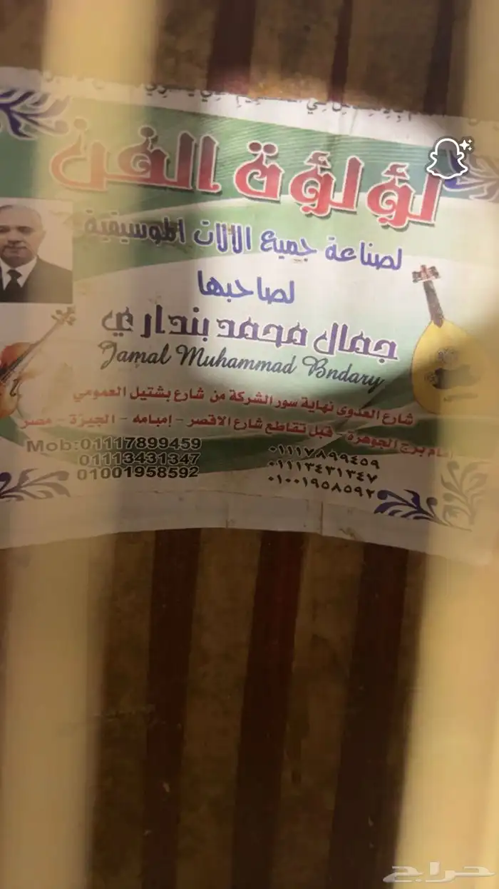 عود مصري 2
