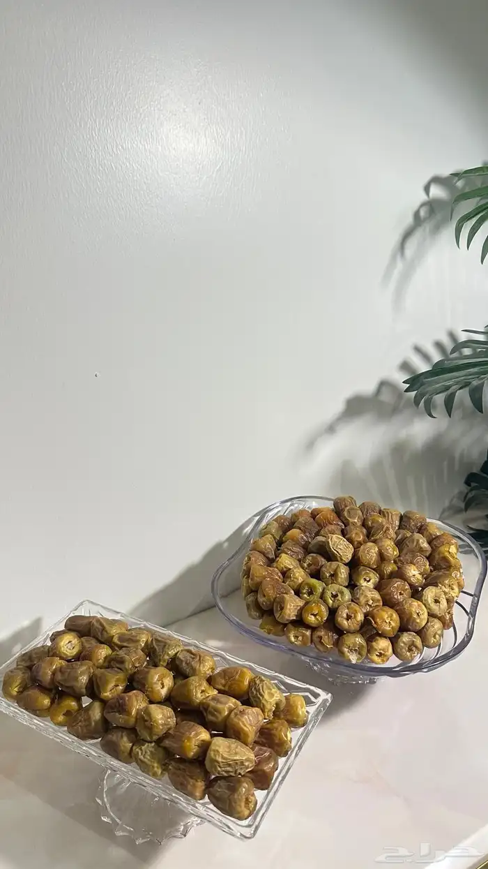 تمرالترف لضيافه 1