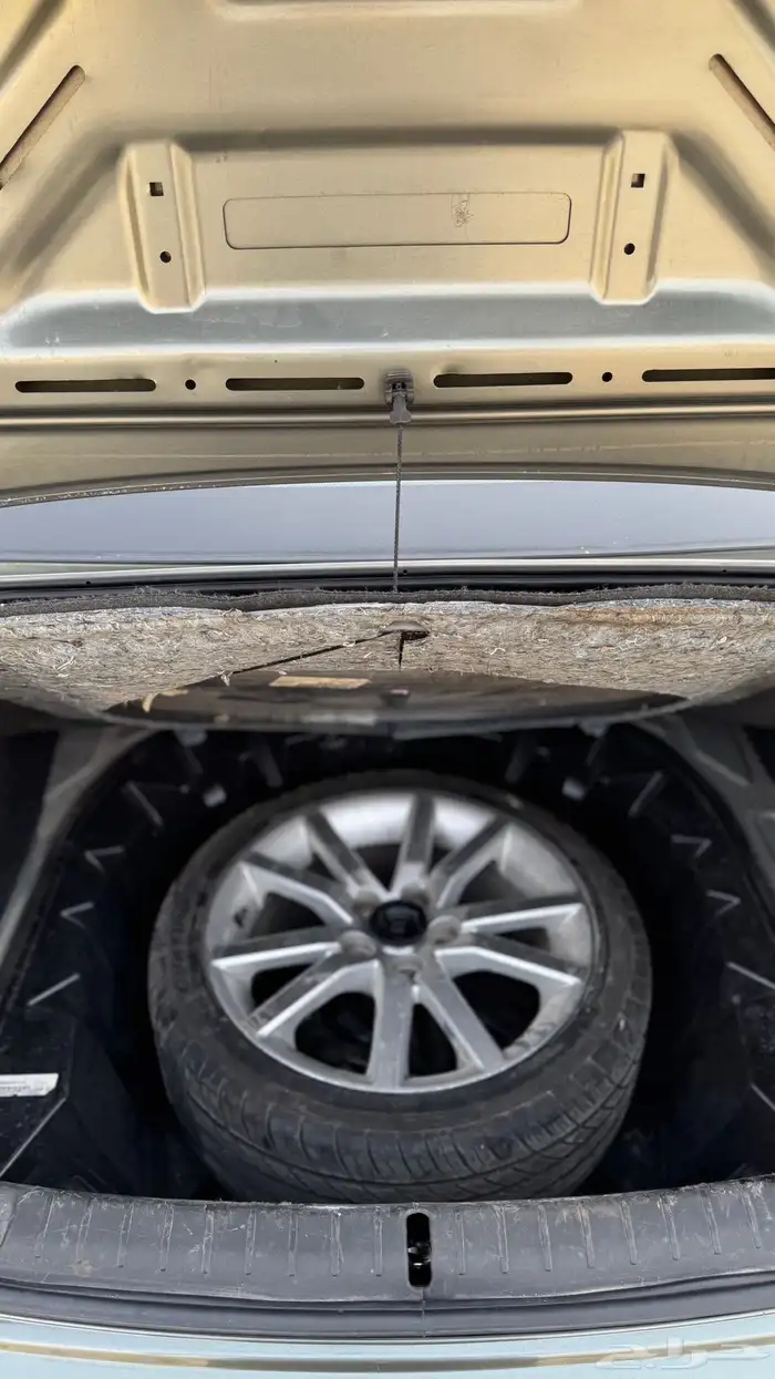 كابرس LS 2016 11