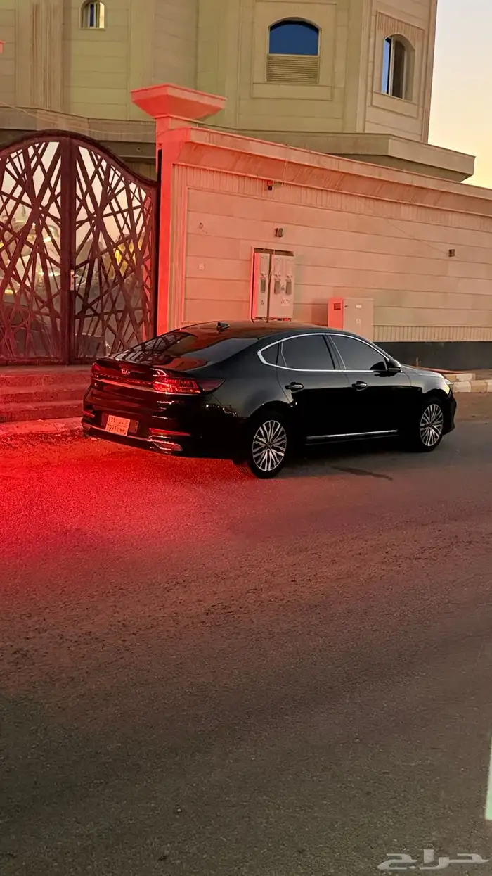 كادنزا 2020 أسود 4