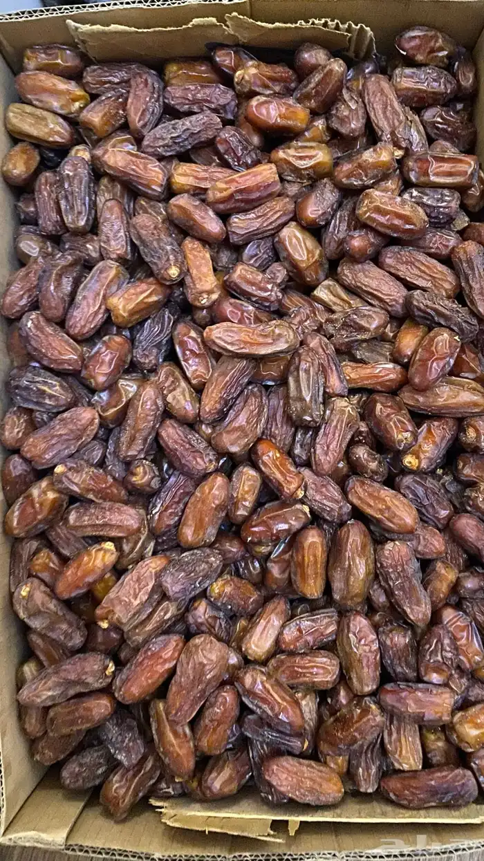 تمر حشيه حبه كبير 1