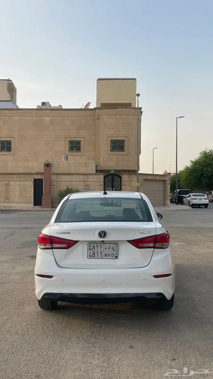 شانجان السفن 2022 4