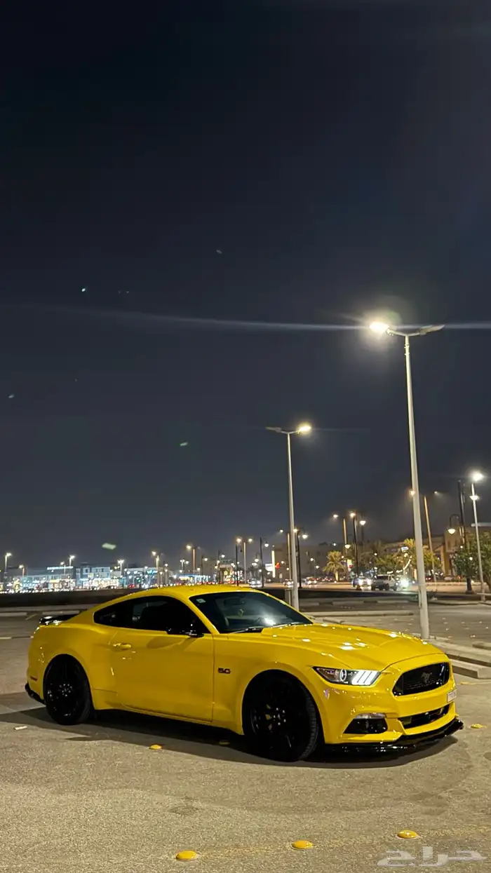 موستنق 2015 5