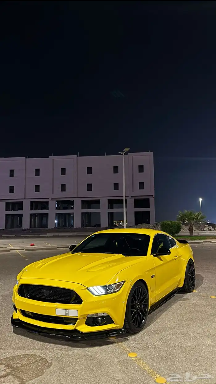 موستنق 2015 3