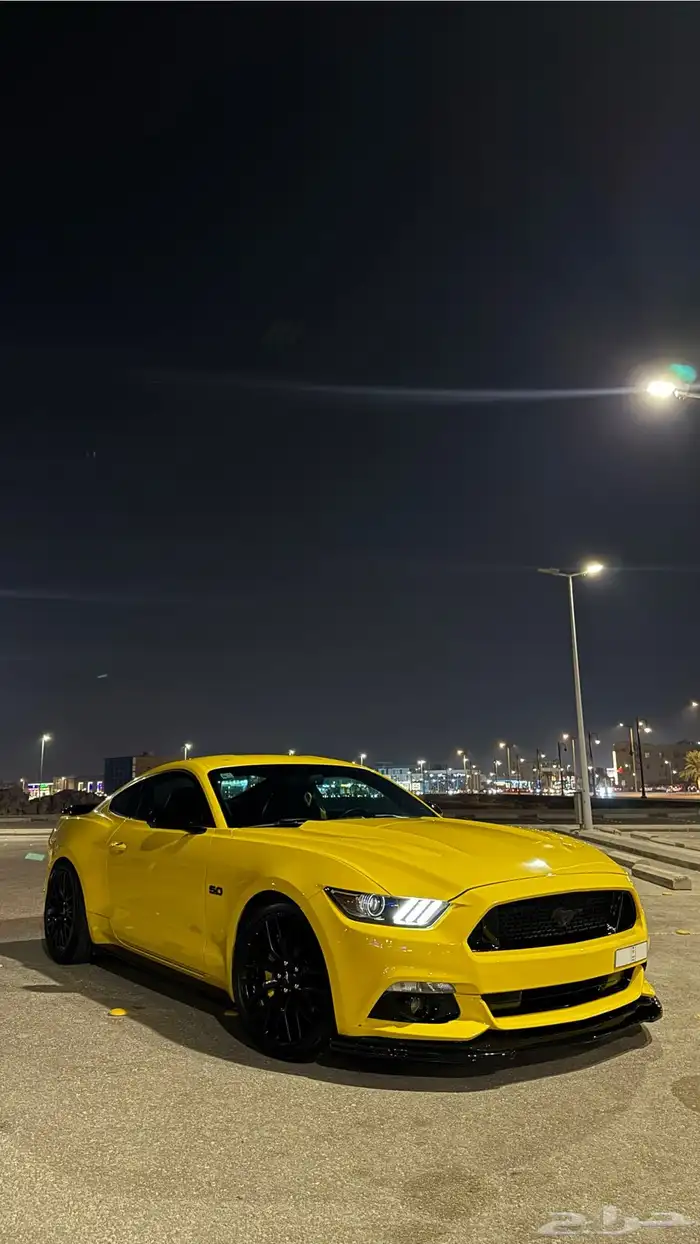 موستنق 2015 0