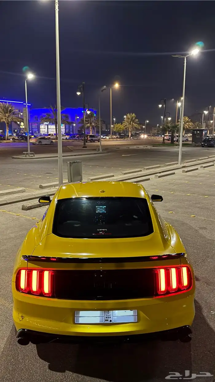موستنق 2015 7