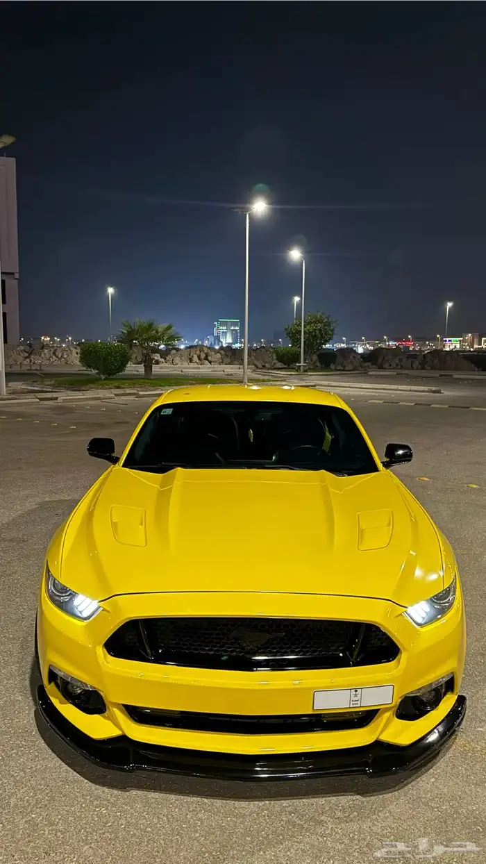 موستنق 2015 8