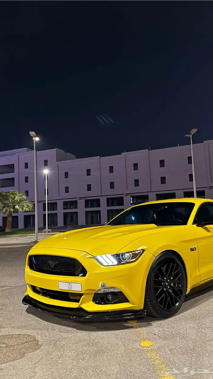 موستنق 2015 10