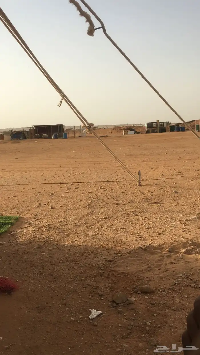 مطلووب عزبه حلال للبيع الرويدف الحلقه الشرقيه 0