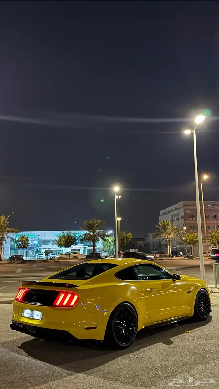 موستنق 2015 6