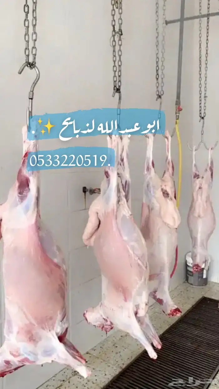 ذبايح نعيمي حري مفطح ثلاجه شامل ذبح توصيل 3