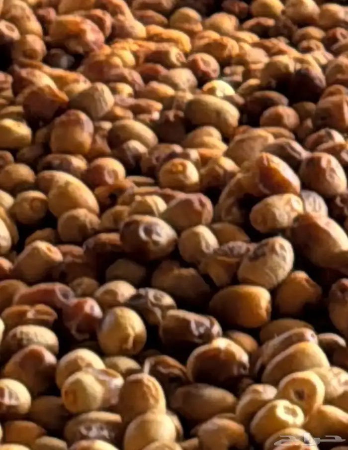 تمر ناشف نظيف علف غنم 0