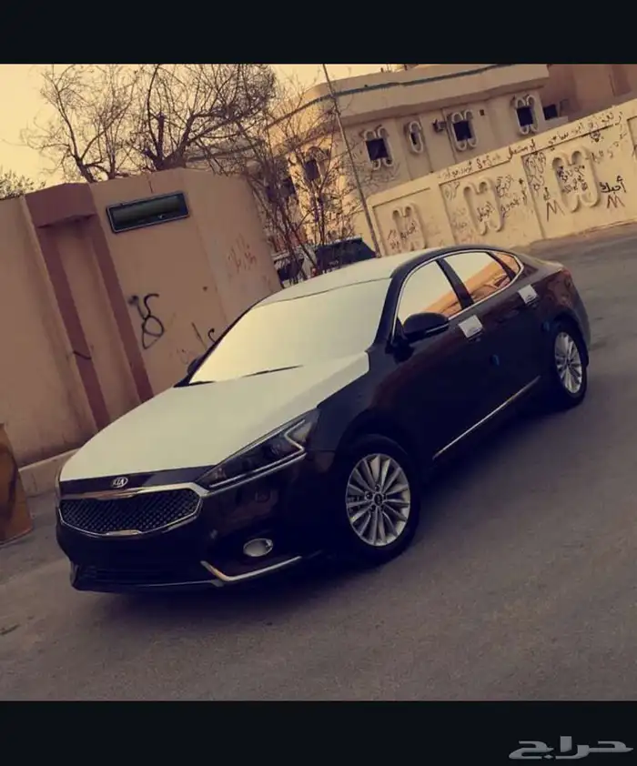مطلوب كادينزا 17 ستاندر لون اسود نظيف حدود 50 0
