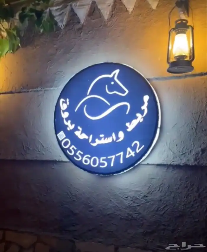 مهر فاخر مواليد 2023 للبيع الموقع حريملاء 1