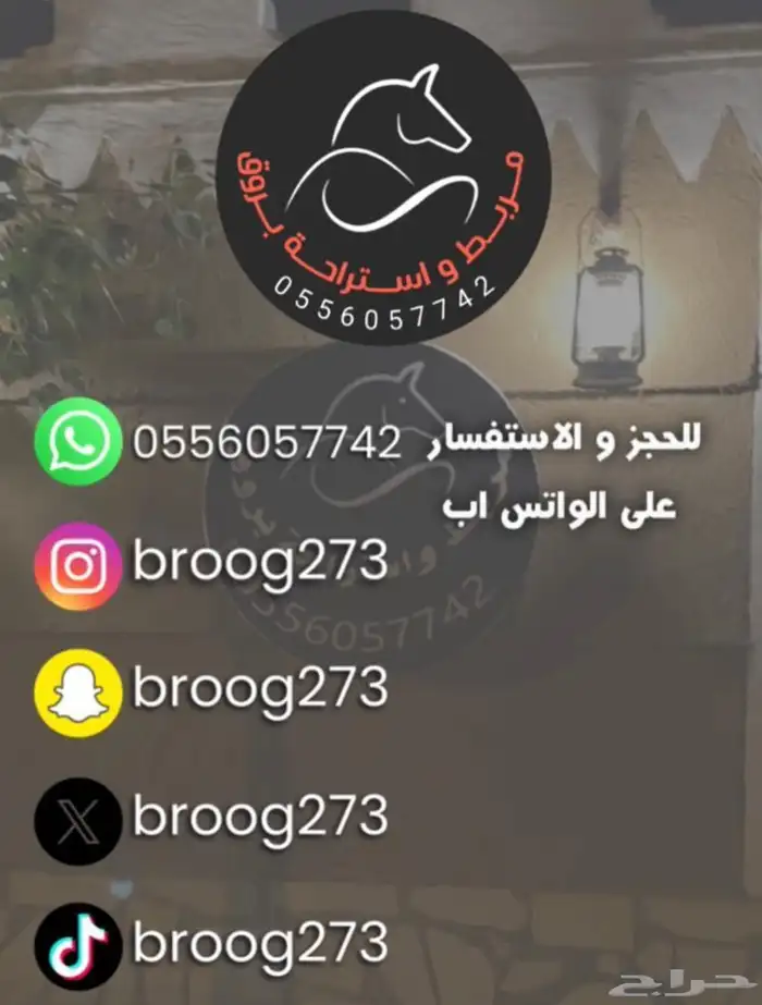 جفرتين قزميات للبيع اعمارهم ثلاثة شهور 5