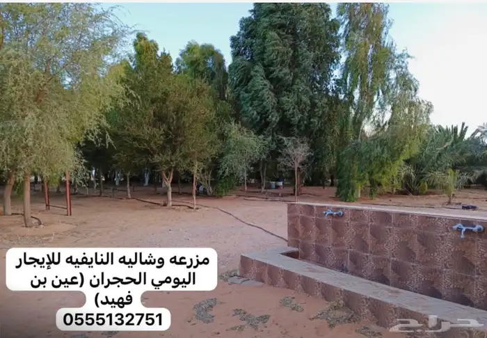 مزرعه وشاليه النايفه للإيجار اليومي شرق عين ابن فهيد 1
