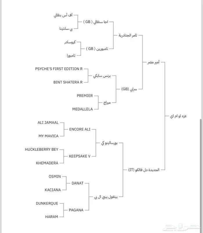 مهره واهو خيل 3