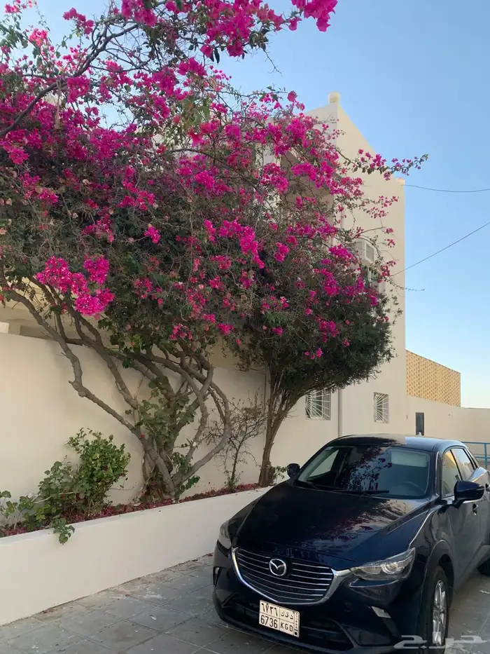 مازدا للبيع 2019 4