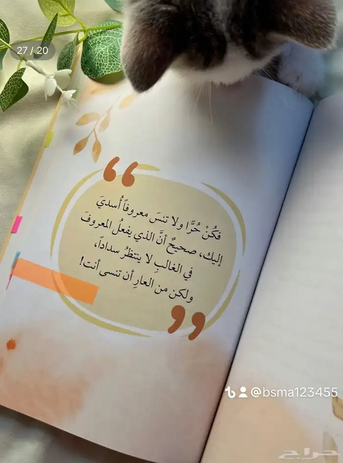 كتاب رسائل من النبي 19