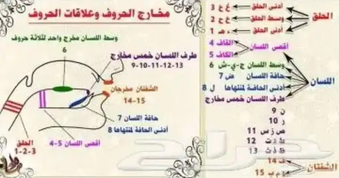 اخصائية تخاطب وخبره فى علاج اللدغات وباحثةماجستير ف التخاطب 4
