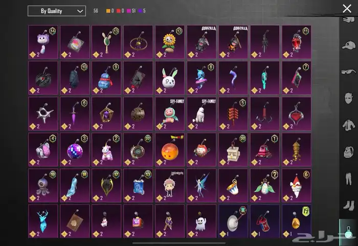 حساب ببجي عالمي 6