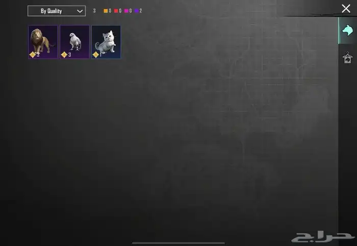 حساب ببجي عالمي 5