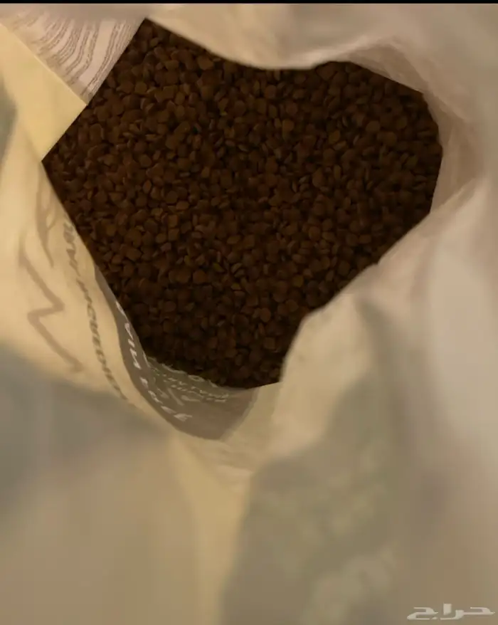 اعراض قطط للبيع 9