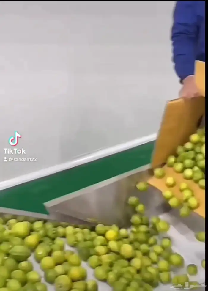 خط غسيل وعصر الومي 0