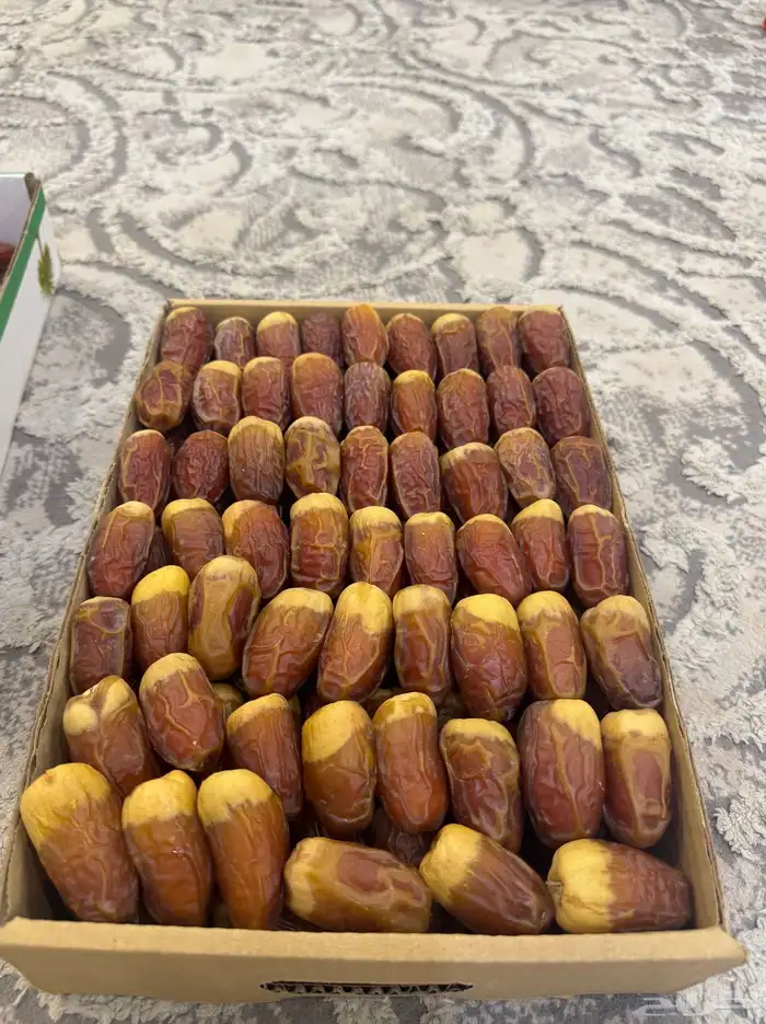 صقعي مبروم فاخر 1