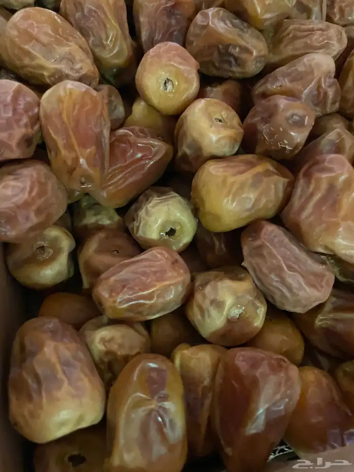 تمر سكري فريزر 2