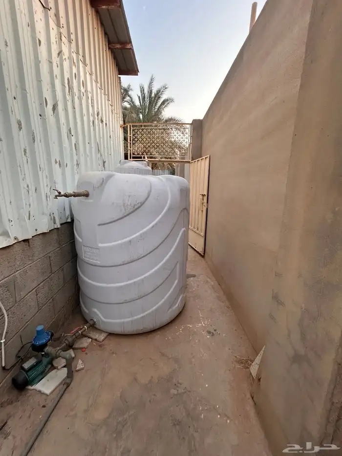 للتقبيل موقع كامل للدواجن 14