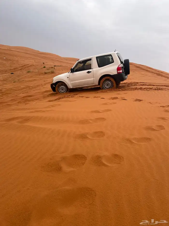 باجيرو للبيع 3