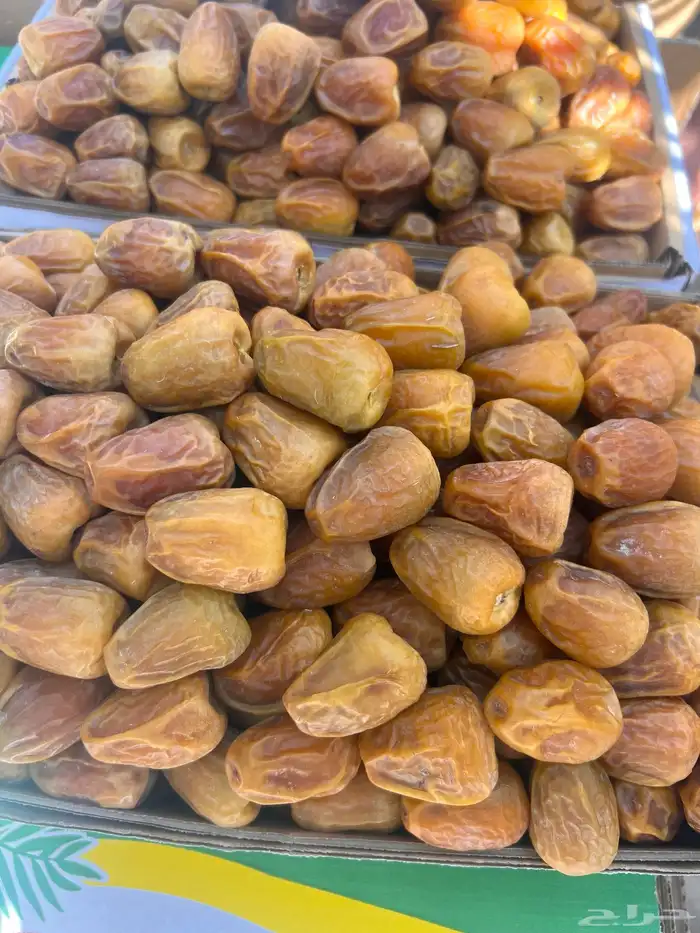 مفتل سكري ملكي فاخر 3