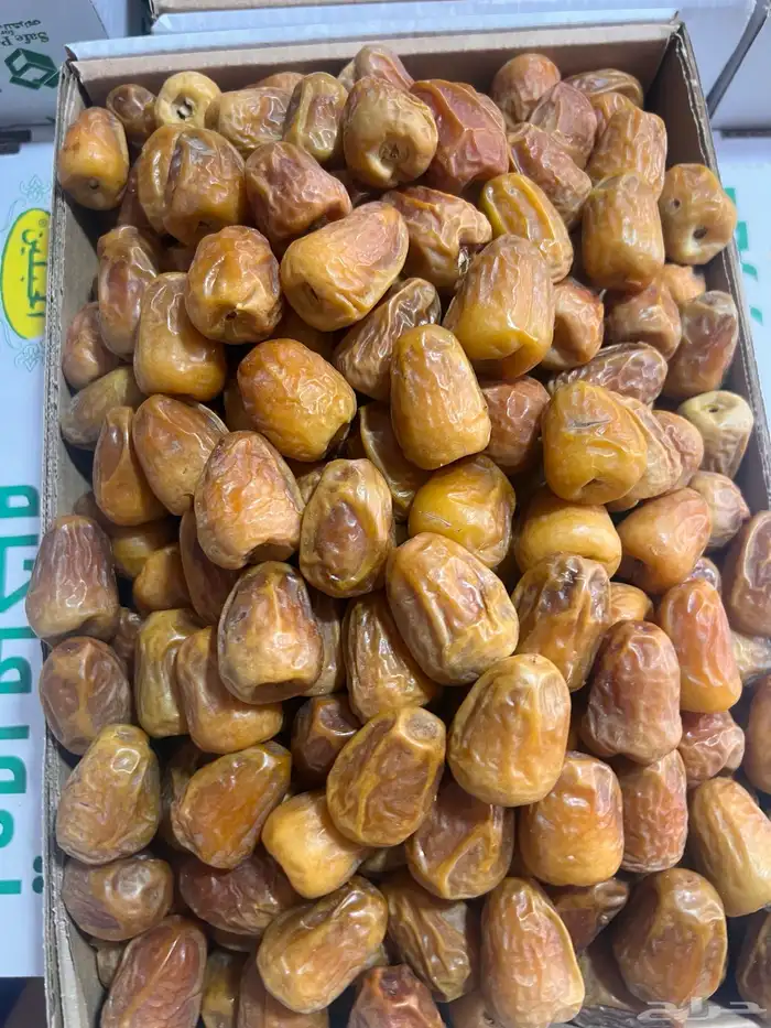 مفتل سكري ملكي فاخر 4