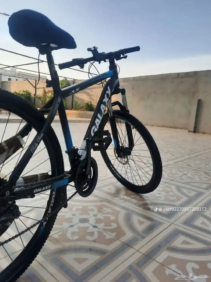 بلجرشي 4