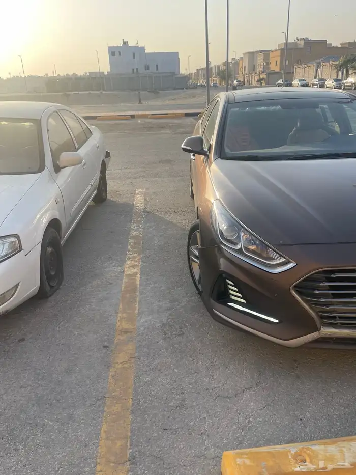 مشاوير يومي وشهري وأسبوعي 0