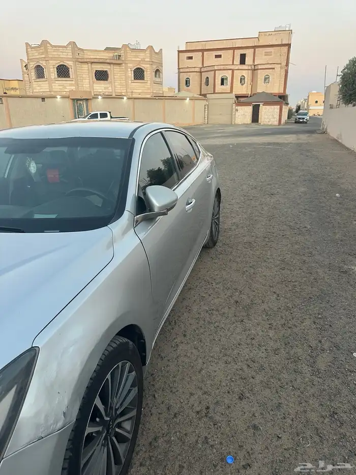 كادينزا 2018 2
