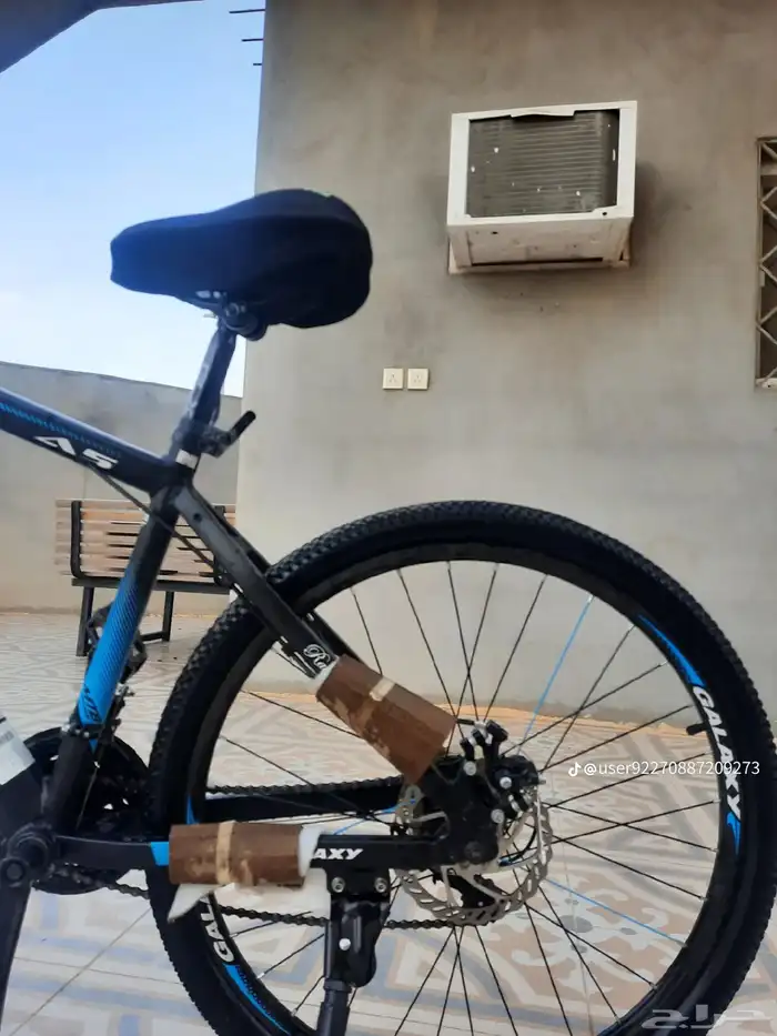 بلجرشي 10